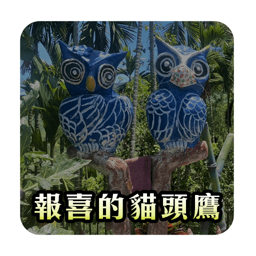報喜的貓頭鷹